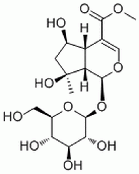 山栀苷甲酯