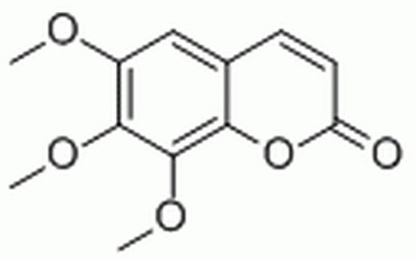 白蜡树素