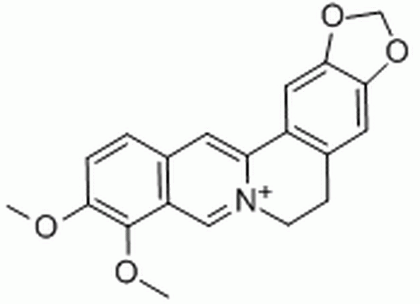 小檗碱