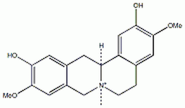 黄柏碱