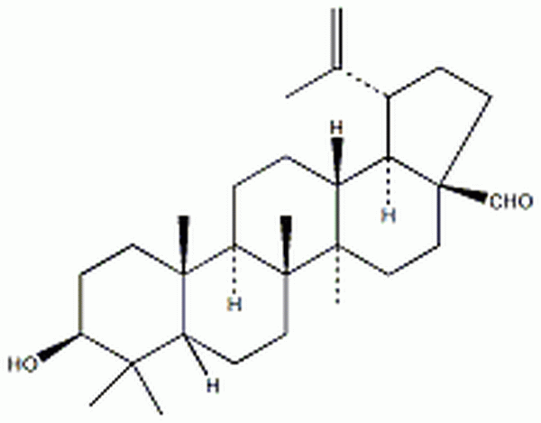 白桦脂醛