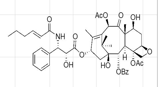 紫杉醇EP杂质Q