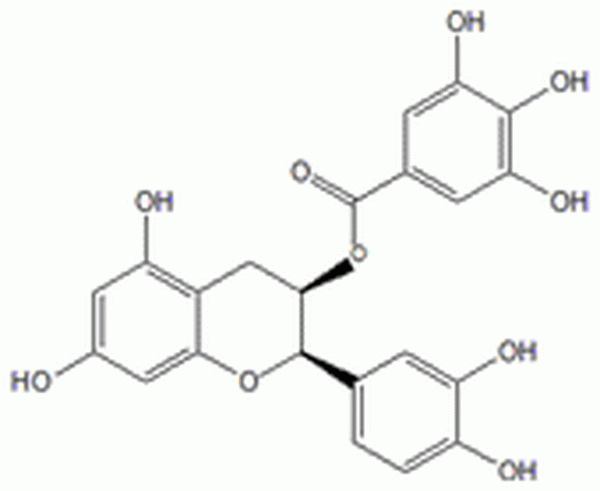 表儿茶素没食子酸酯