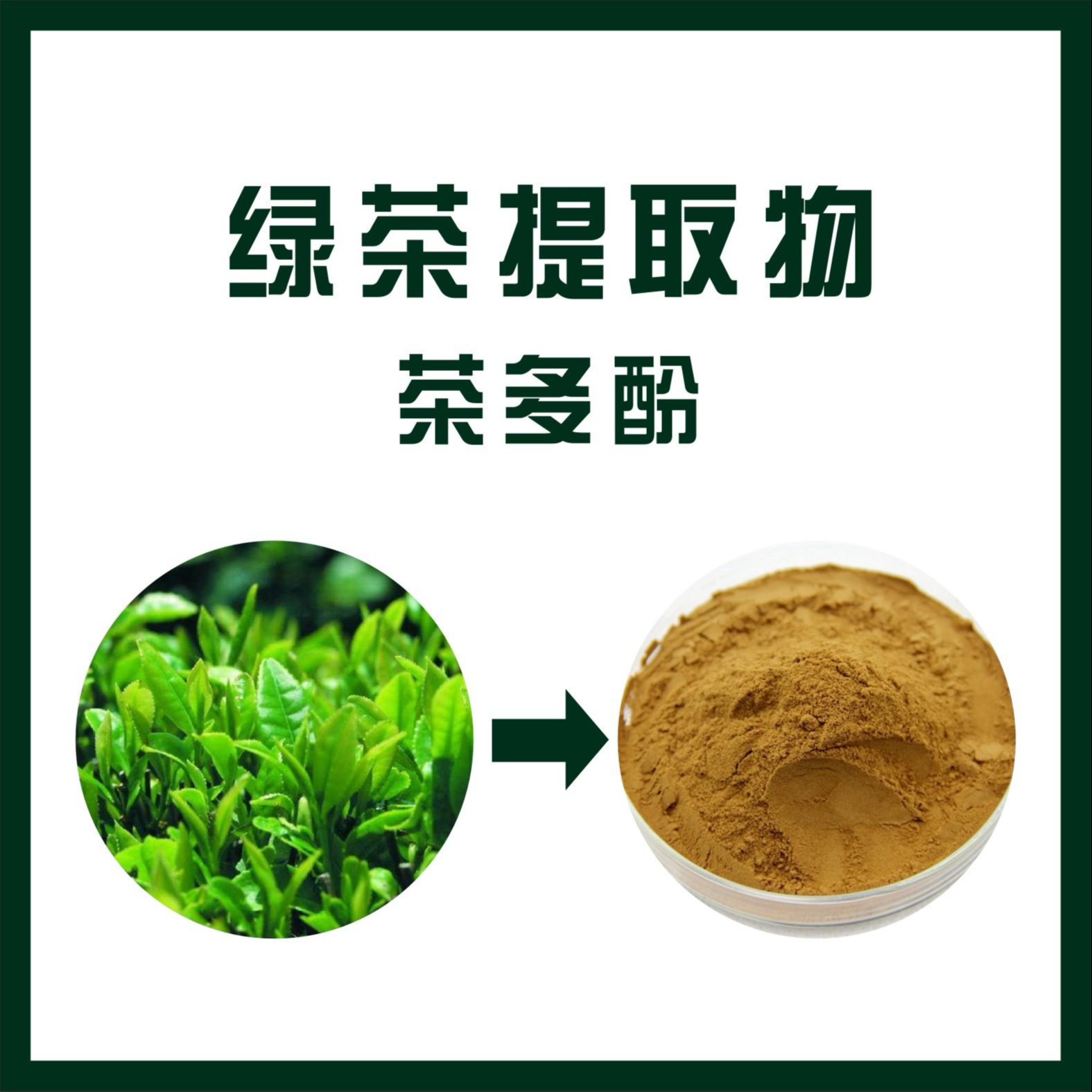 绿茶提取物