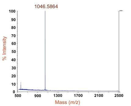 蛋白分子量测定