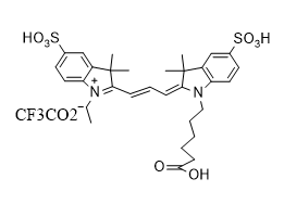 cy3