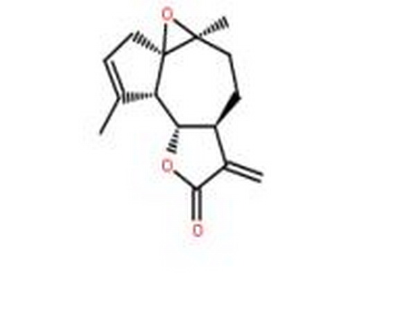 小白菊内酯衍生物