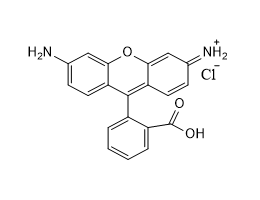 罗丹明110