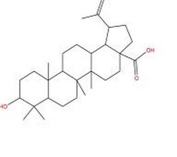 表白桦脂酸