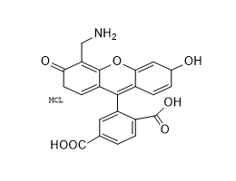 4'-氨甲基-6-羧基荧光素 4'-氨甲基-3',6'-二羟基-3-氧代螺[异苯并呋喃-1(3H),9'-[9H]吨]-5-羧酸