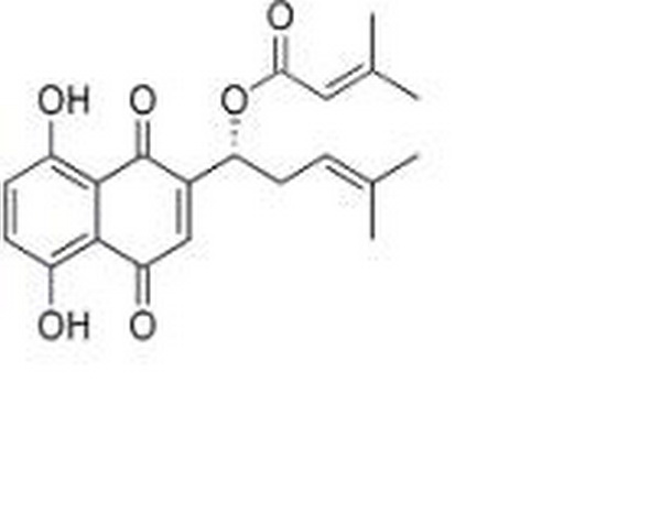 β, β’-二甲基丙烯酰紫草素