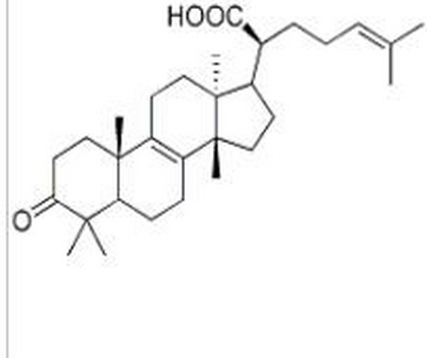 β-榄香酮酸