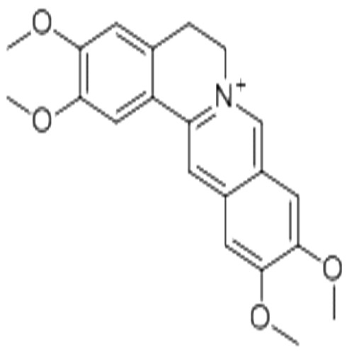 Pseudopalmatine