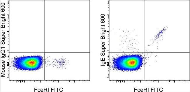 Mouse Anti-Human IgE Antibody