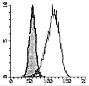 Mouse Anti-Human IgE Antibody