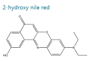 9-(二乙氨基)-2-羟基-5H-苯并[a]苯恶嗪-5-酮