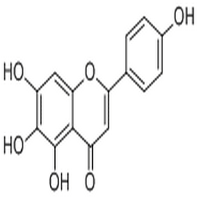 Scutellarein