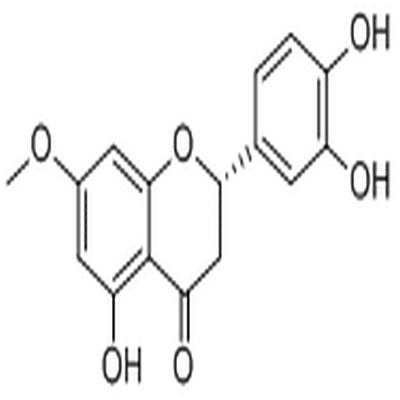 7-O-Methyleriodictyol