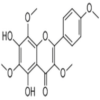 Araneosol