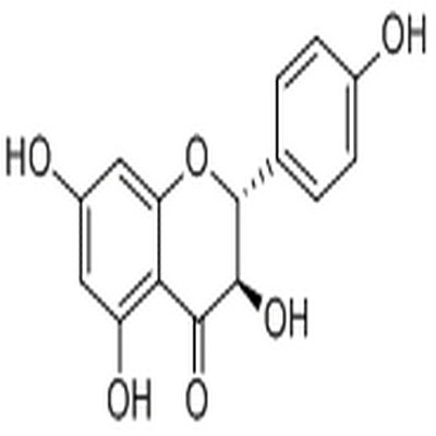 Aromadendrin