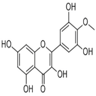 Mearnsetin