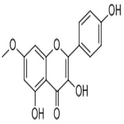 Rhamnocitrin