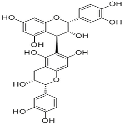 Procyanidin B5