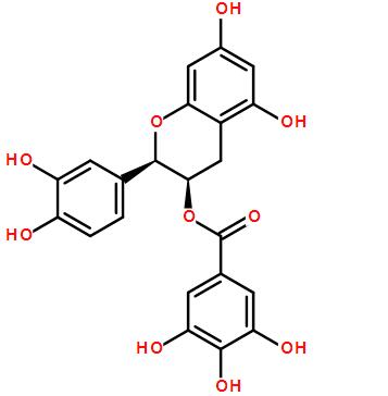 表儿茶素没食子酸酯