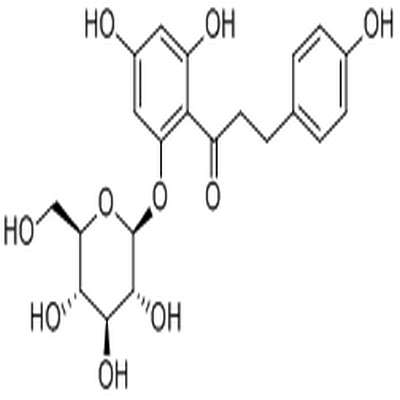 Phlorizin