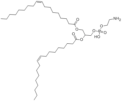 二油酰基 L-α-磷脂酰乙醇胺