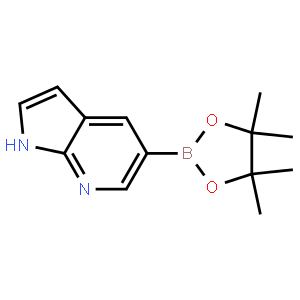 7-氮杂吲哚-5-硼酸频哪醇酯