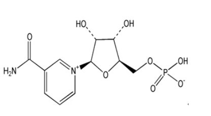 β-烟酰胺单核苷酸