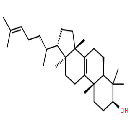 大戟二烯醇