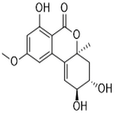 Altenuene