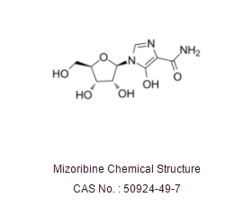 Mizoribine