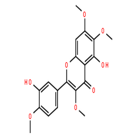 蔓荆子黄素