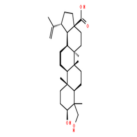 23-羟基白桦酸