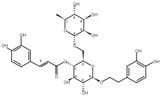 连翘脂苷A，79916-77-1
