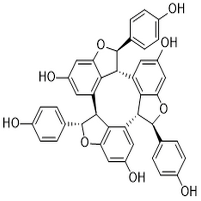 α-Viniferin