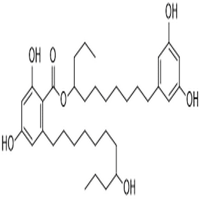 Integracin B