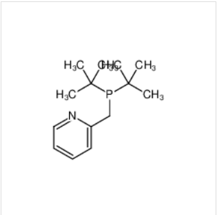 2-（二叔丁基膦基甲基）吡啶
