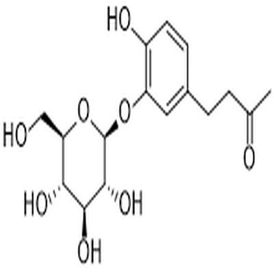 Myzodendrone