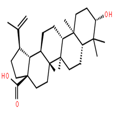 表白桦脂酸