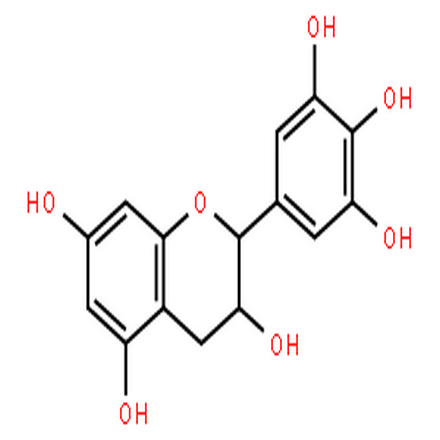 没食子儿茶素