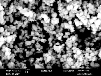 纳米钌粉；钌炭催化剂；钌碳；钌黑