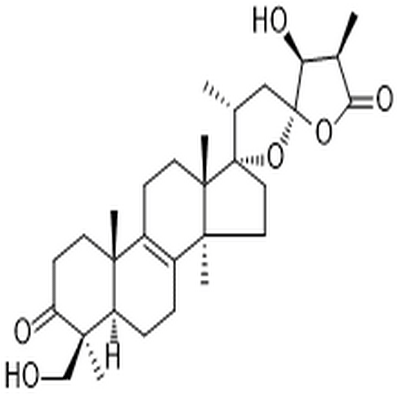 Scillascillone