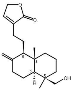 新穿心莲内酯苷元