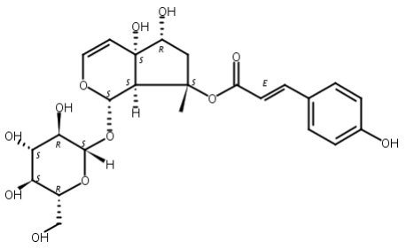 8-O-肉桂酰哈巴苷