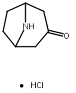 去甲托品酮盐酸盐