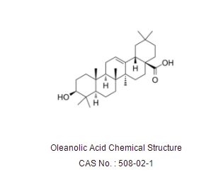 Oleanolic Acid (Caryophyllin)